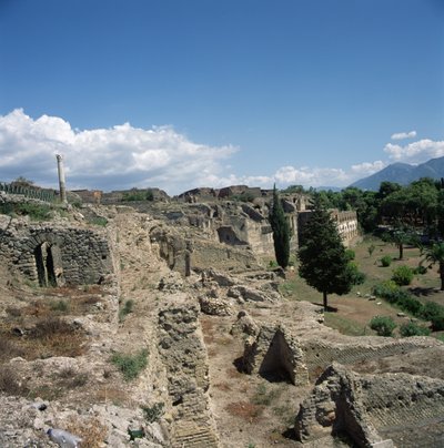 View of the ruined city by Roman